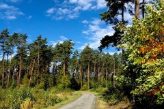 Kuznia-w-siodelku-Rudy-16