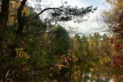 Kuznia-w-siodelku-Spalony-Las-15