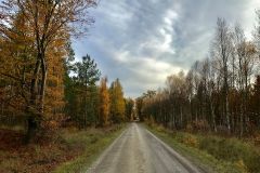 Kuznia-w-siodelku-Spalony-Las-4